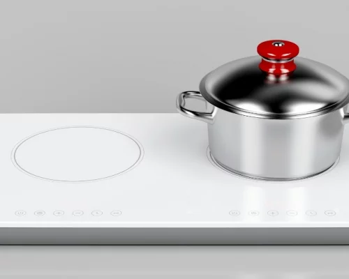 RV Induction Cooktop Review: Should You Buy This?